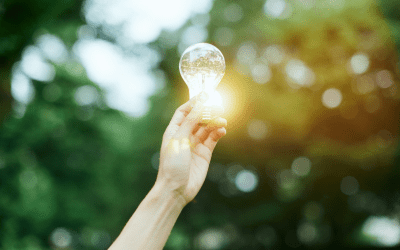 Green Innovation and Patent Protection: Indonesia’s Challenges in ASEAN Competitiveness